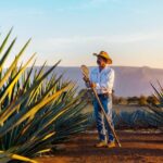 Premium Plus Sunset - What Makes This Tour Stand Out?