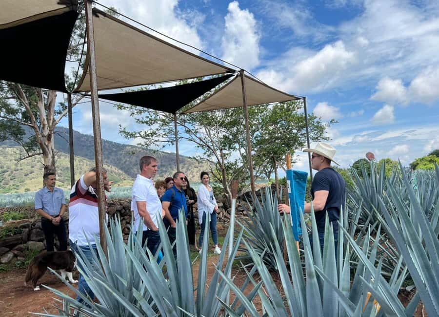 Premium Tequila Route with a professional tasting - What Makes This Tour Stand Out?