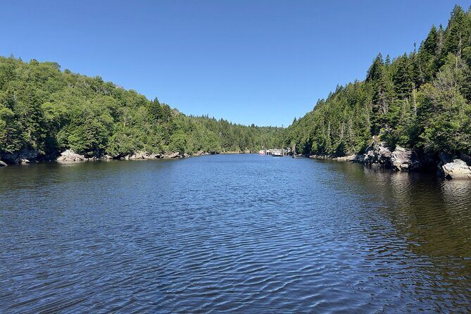 Prime Tour Saint John - What Travelers Are Saying