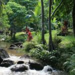 Princeville: Guided Botanical Gardens and Chocolate Tour - The Itinerary in Detail