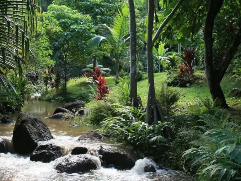 Princeville: Guided Botanical Gardens and Chocolate Tour - The Itinerary in Detail