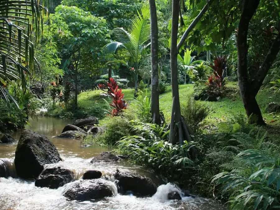 Princeville: Guided Botanical Gardens and Chocolate Tour - The Itinerary in Detail