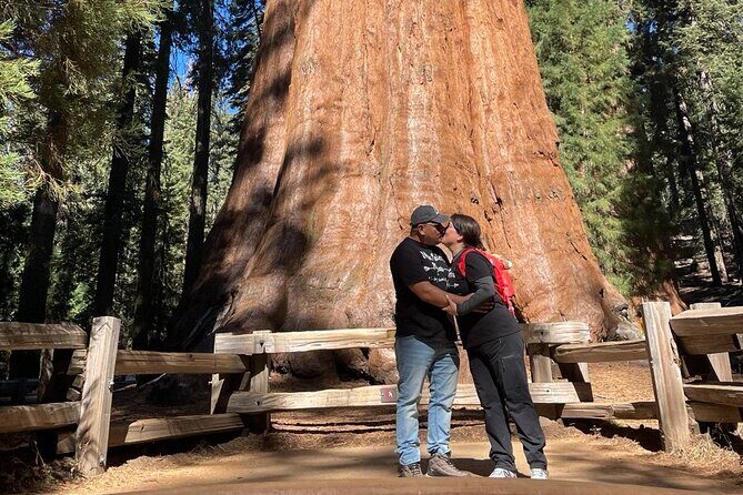 Private 1-Day Sequoia and Kings Canyon Park Tour from Los Angeles - Who Will Love This Tour?