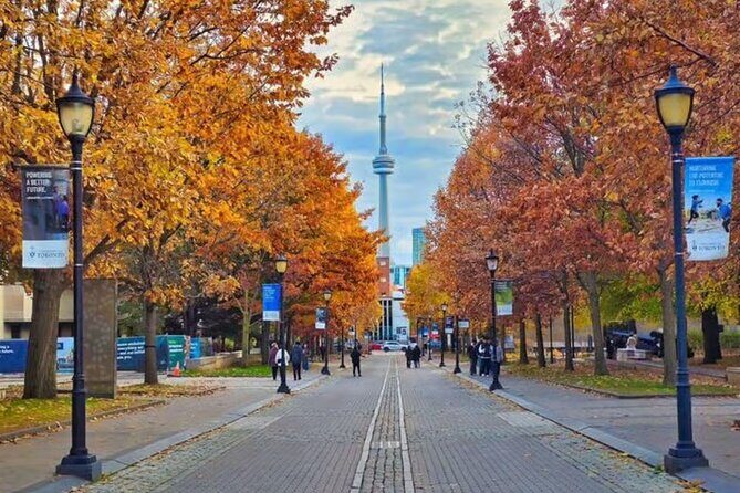 Private 2 Hours Photoshoot with a Pro Photographer in Toronto - The Experience from the Traveler’s Perspective