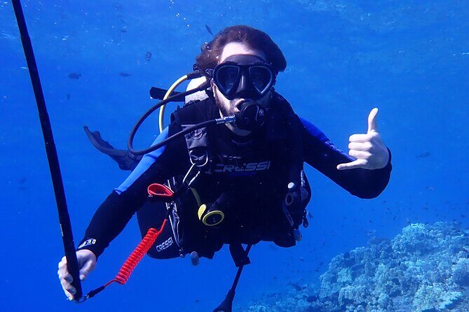 Private 2 Tank Dive at Molokini Crater Certified Divers Only - What You’ll Encounter at Molokini