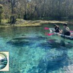 Private 2Hour Clear Kayak/ROC Paddle Board Rental on Silver River - The Silver River Landscape and Why It Matters