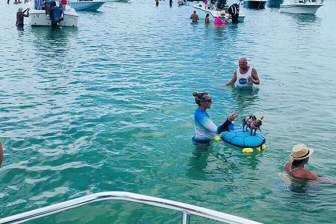 Private 3 hour Charter and Sandbar in Islamorada - Value and Practical Insights