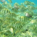 Private 3 Hour Snorkeling Tour with Arch Tour and Beach Time - Practical Details and Value