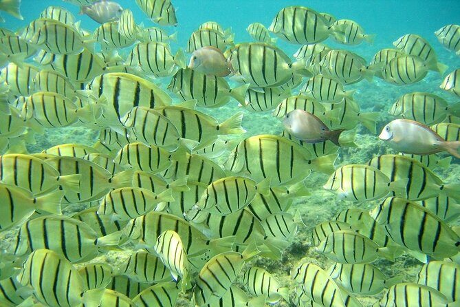 Private 3 Hour Snorkeling Tour with Arch Tour and Beach Time - Practical Details and Value