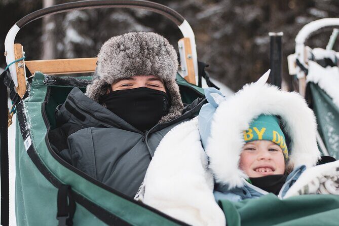 Private 30 Minute Mush Along Historic Yukon Quest Trail - The Value of This Tour