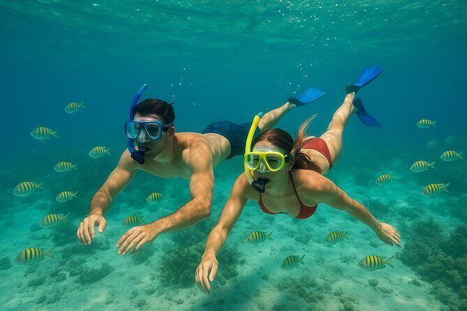 Private 4-Hour Guided Jet Ski Tour Madeira & Shell Key - What’s Included and What You Should Know