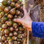 Private 4 hour Hiking Adventure + Breakfast in Nogalito Ecopark - The Practical Aspects