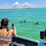 Private 4 Hour Shell Key Island Adventure Dolphins and Shells - The Itinerary in Detail