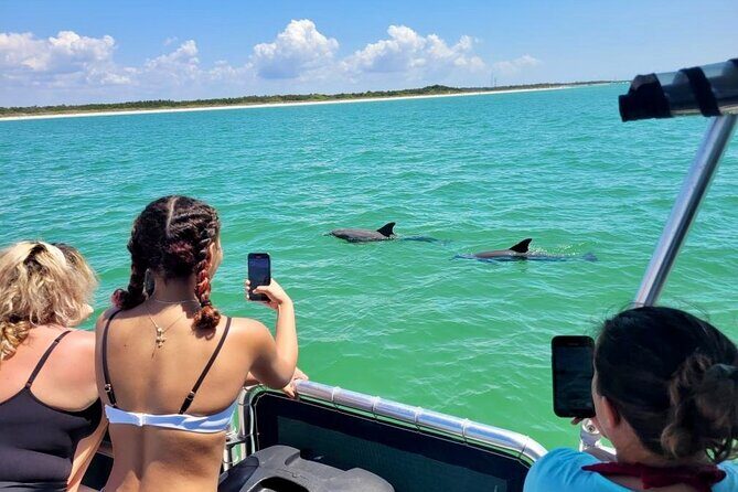 Private 4 Hour Shell Key Island Adventure Dolphins and Shells - The Itinerary in Detail