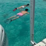 Private 4 Hour Snorkel and Sandbar Charter in Islamorada - Analyzing the Value