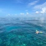 Private 4-Hour Snorkel Charter. Snorkel Gear Included! - The Value of a Private Tour in Key Largo