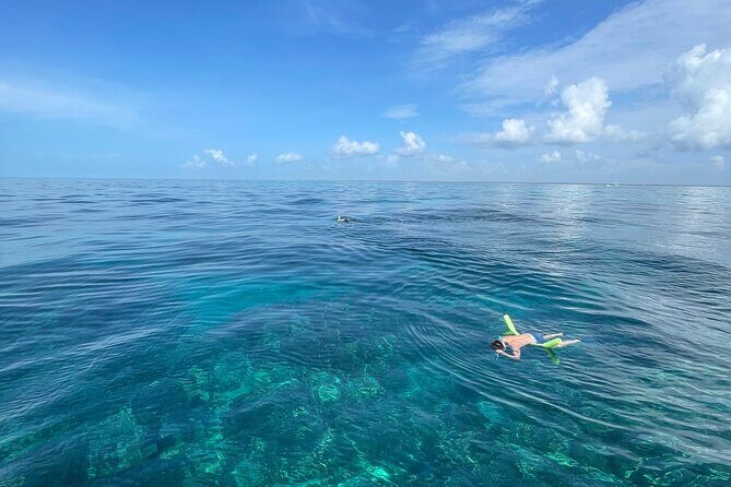 Private 4-Hour Snorkel Charter. Snorkel Gear Included! - The Value of a Private Tour in Key Largo