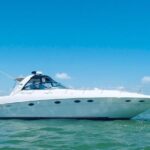 Private 50FT Yacht Rental in Cancún P8 - What To Expect on Your Tour