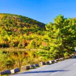 Private Acadia & Mount Desert Island Tour (full day, six hours) - The Value and Experience