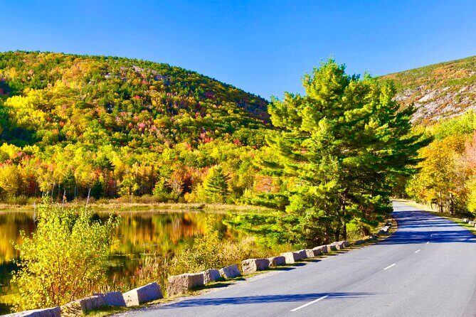 Private Acadia & Mount Desert Island Tour (full day, six hours) - The Value and Experience