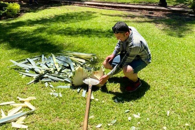 Private Adventure to Casa Sauza Distillery and Visit to Tequila - Who Will Love This Tour?