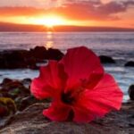 Private Airport Transfer to Waikoloa Resorts Private Residence - The Fine Details