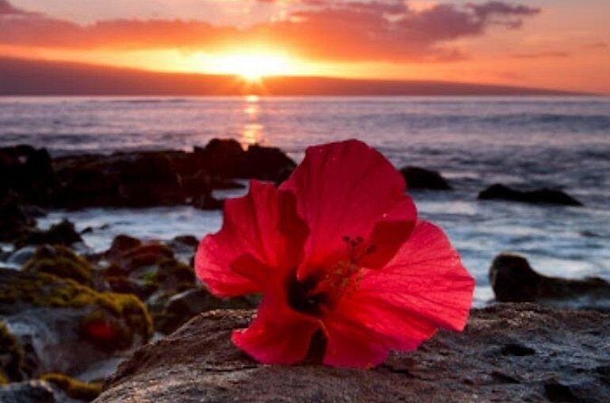 Private Airport Transfer to Waikoloa Resorts Private Residence - The Fine Details