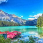 Private and Customizable Transport Airport Pickups and Drop Offs - Why This Transport Works for You