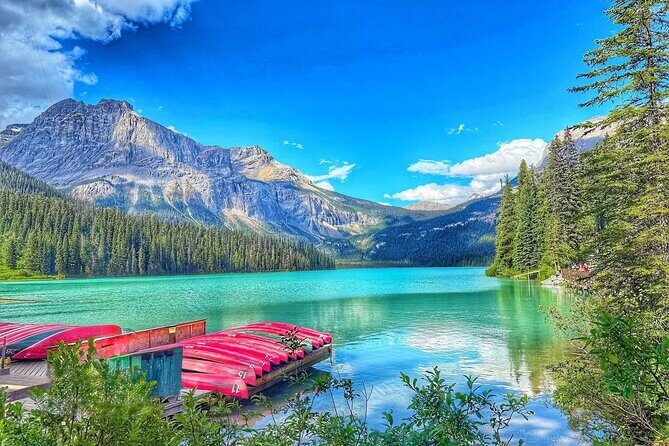 Private and Customizable Transport Airport Pickups and Drop Offs - Why This Transport Works for You