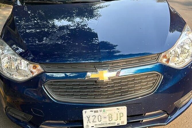 Private and Reliable Airport Transportation to your Hotel or Airbnb - The Vehicle and Service Quality