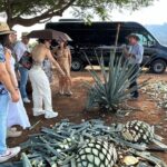 Private Artisanal Tequila Tour - What Makes This Tour Stand Out