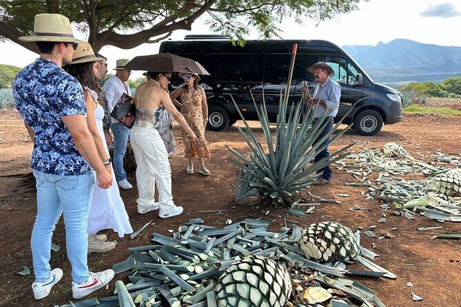 Private Artisanal Tequila Tour - What Makes This Tour Stand Out