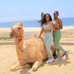 Private ATV and Camel Ride on a White Sand Beach - Who Will Enjoy This Tour?