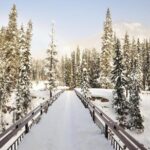 Private Banff and Yoho National Park Tour with Moraine Lake - Frequently Asked Questions