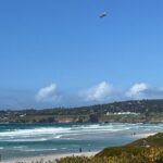 Private Big Sur and Carmel Scenic Drive from San Jose - The Practical Side: What This Tour Means for You
