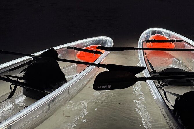 Private Bioluminescence Tour by clear Kayak in Holbox - Why This Tour Stands Out