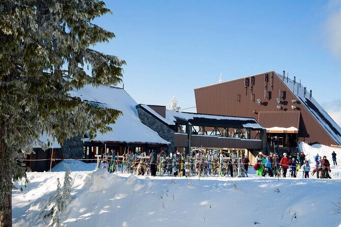 Private Capilano Bridge Grouse Mountain and Lighthouse Day Trip - The Experience of a Private Tour