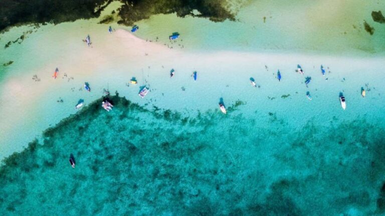 Private Catamaran in Cozumel: El Cielo and Turtle Sanctuary - Authentic Reviews and Insights