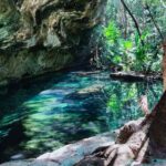 Private Cenote Experience, swim in the heart of the Mayan Jungle - Who Will Love This Tour?