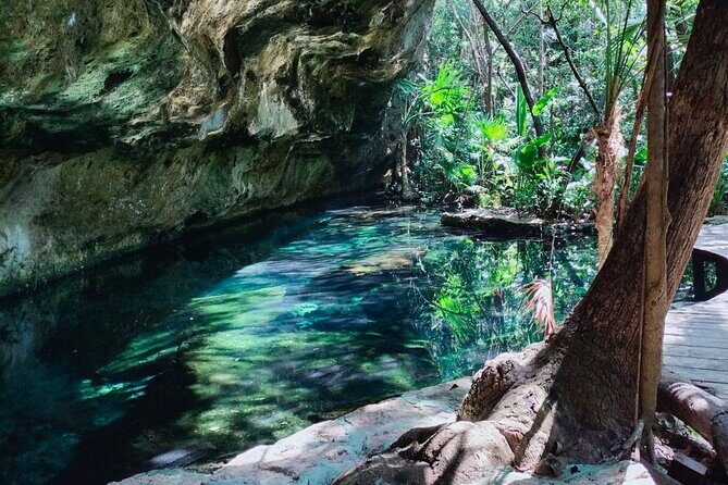 Private Cenote Experience, swim in the heart of the Mayan Jungle - Who Will Love This Tour?