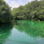 Private Cenotes tour - The Experience of a Lifetime