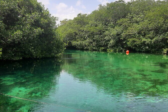 Private Cenotes tour - The Experience of a Lifetime