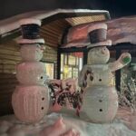 Private Chena Hot Springs Transportation from Fairbanks - Practical Tips for Travelers