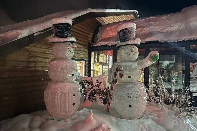 Private Chena Hot Springs Transportation from Fairbanks - Practical Tips for Travelers