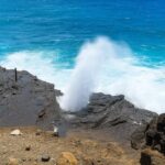 Private Circle Island Tour North Shore and East Side - What Makes This Tour Stand Out