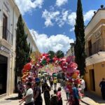 Private City Tour San Cristobal de las Casas - Why This Tour Offers Great Value