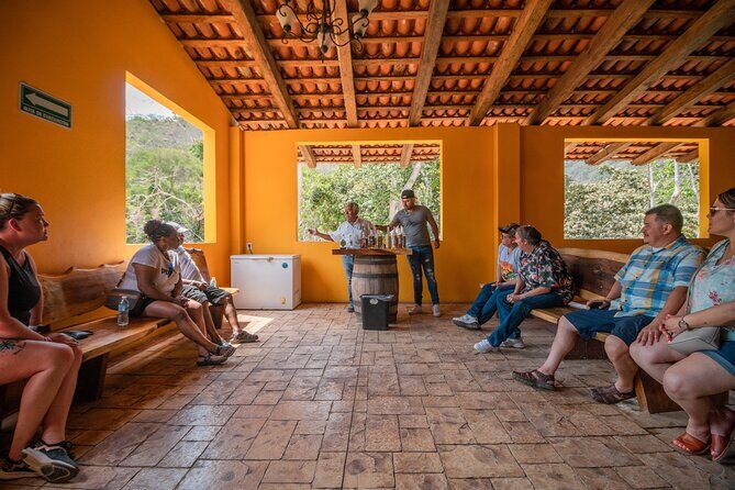 Private City tour & tequila tasting - Exploring Old Town & Plaza de Armas