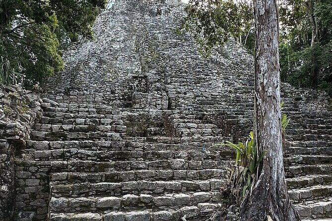 Private Coba Mayan Ruins Tour from Tulum - Transportation and Logistics: What to Expect