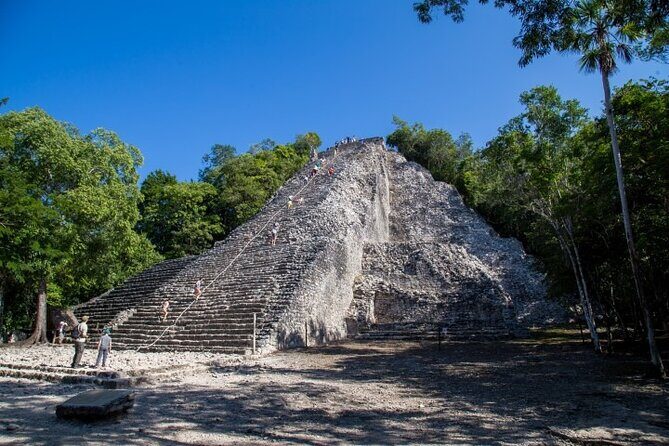 Private Coba Ruins, Cenote Swim and Tacos Lunch Tour - Who Will Love This Tour?