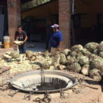 Private Colonial Tour Tequila and the Noria - Why This Tour Offers Good Value